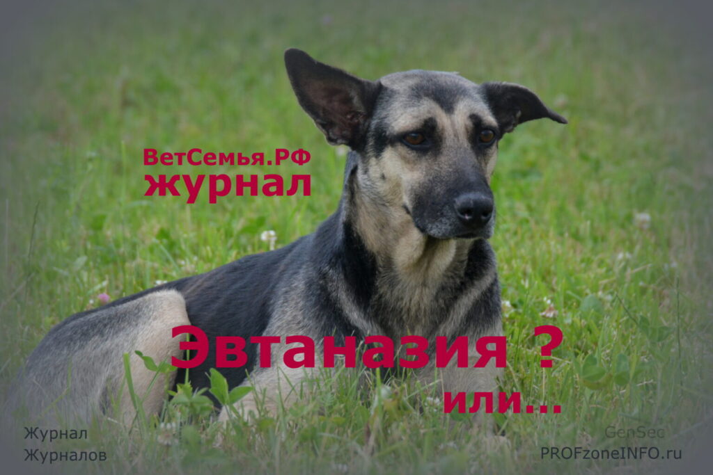 Эвтаназия — убийство по неразумению