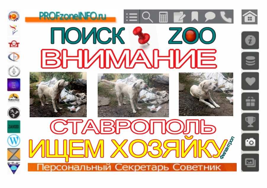 Поиск-ZOO. Ищем хозяйку