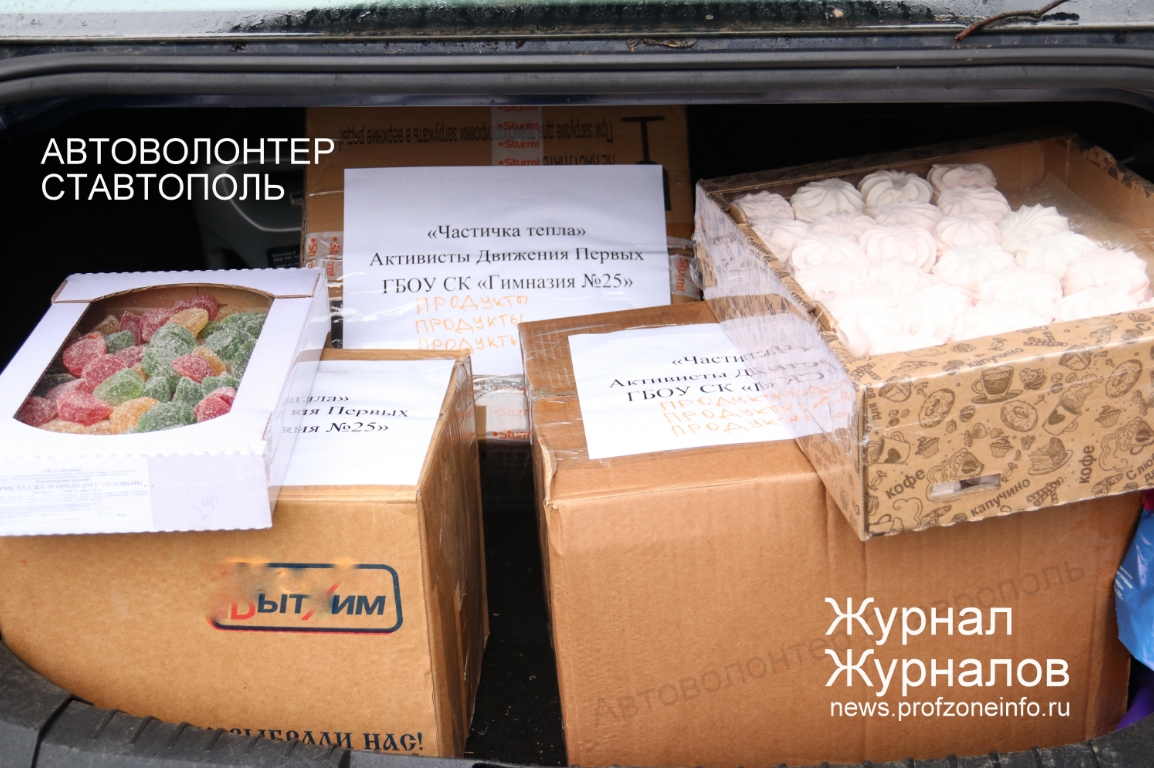 Автоволонтер.ПРОФЗОНАНФО.Филантроп